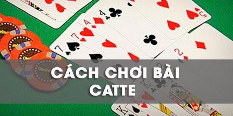 Giới thiệu game bài Catte