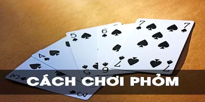 Cách chơi chi tiết dành cho các tân thủ 