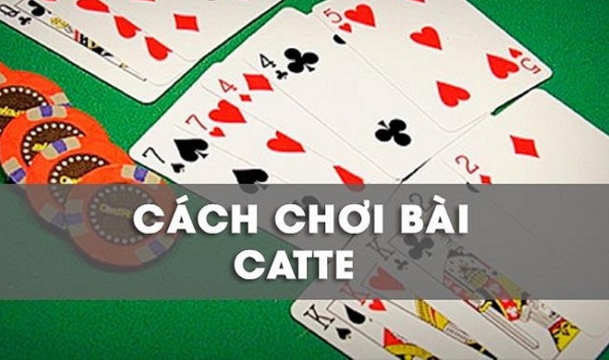 Chiến thuật chơi bài Catte 6 lá bất bại